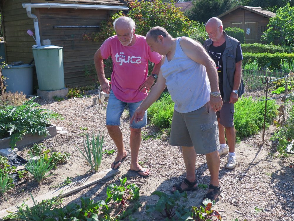 Ajoutez une image de présentation 1