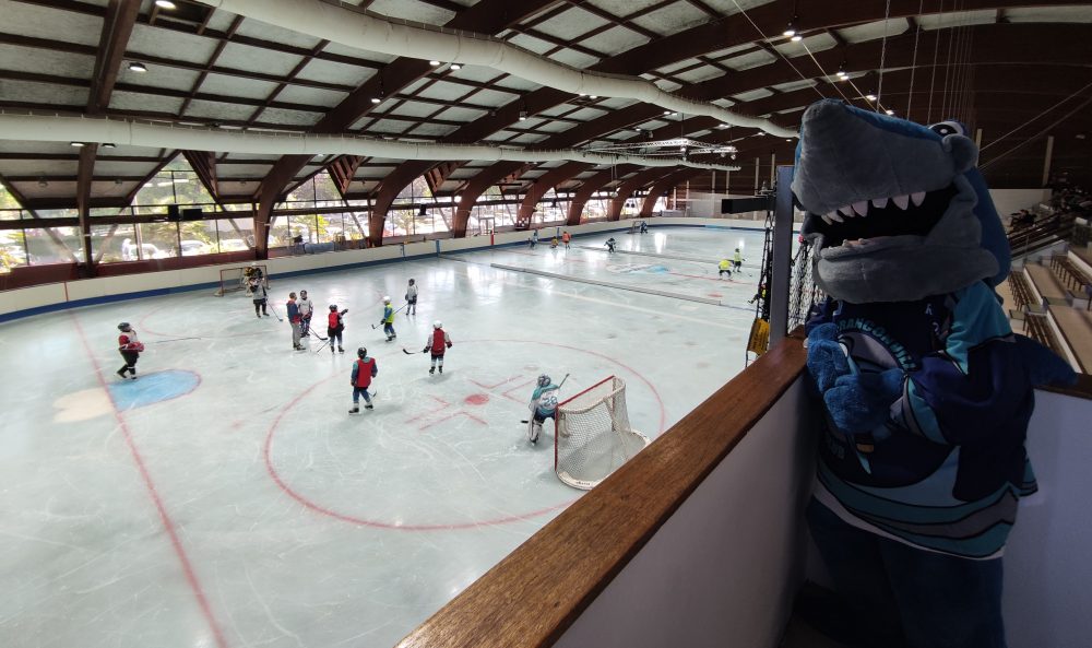 Ajoutez une image de présentation 1