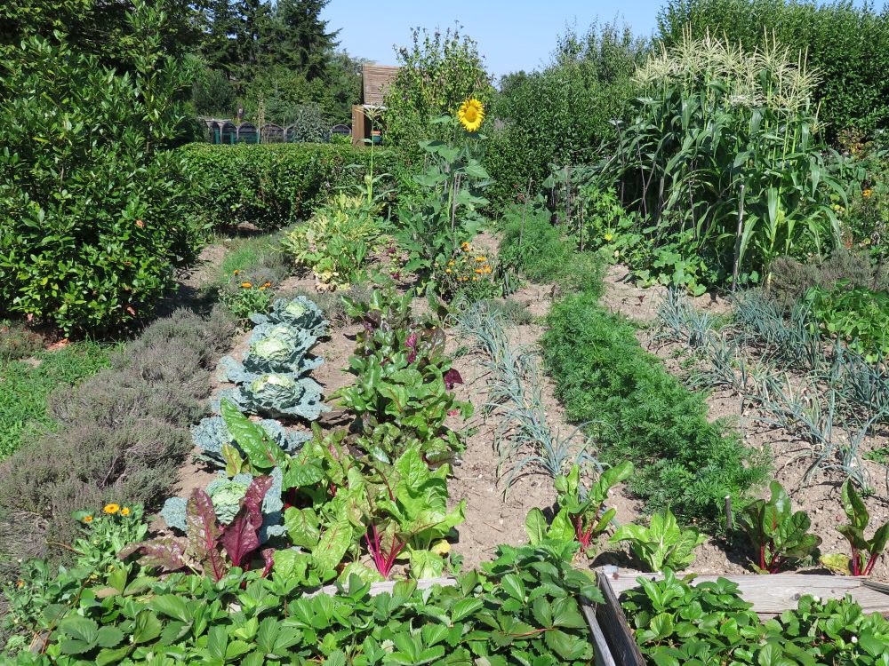 Ajoutez une 2ème image de présentation